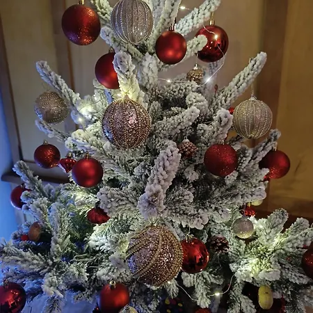 Double With Great View Niza